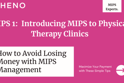 Introducing MIPS to Physical Therapy Clinics