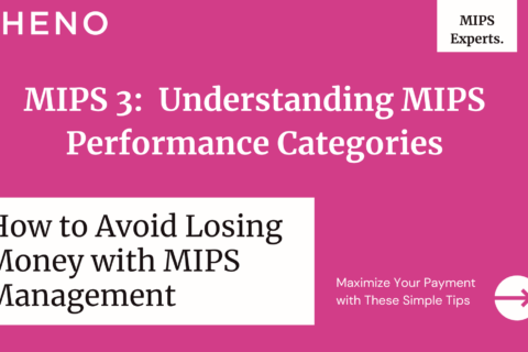 Understanding MIPS Performance Categories